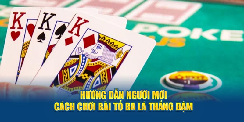 Hướng dẫn người mới cách chơi bài tố ba lá thắng đậm 